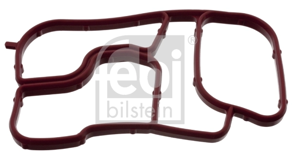 Gasket, oil cooler